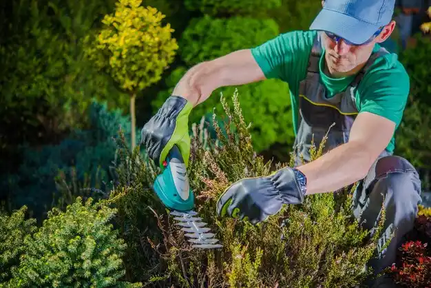 landscaping services Ravenwood